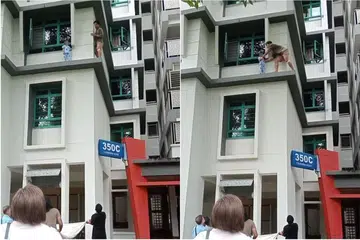 Sebuah video, yang tular  pada 20 Oktober,  menunjukkan seorang budak lelaki berusia tiga tahun berdiri di pinggir tembok di luar tingkap sebuah flat.
