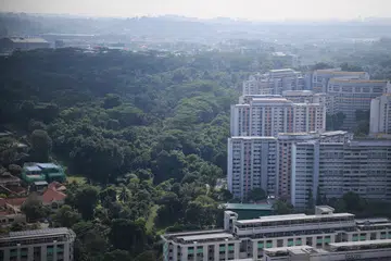 Sebahagian Hutan Maju (kiri) di kawasan Sunset Way di Clementi bakal diberi laluan kepada pembangunan perumahan baharu.