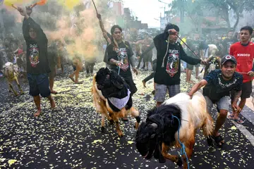 GEMBIRA SAMBUT AIDILADHA: Beberapa pemuda berarak dengan haiwan korban masing-masing dalam satu perayaan menyambut Aidiladha di Malang, Indonesia, pada Khamis.