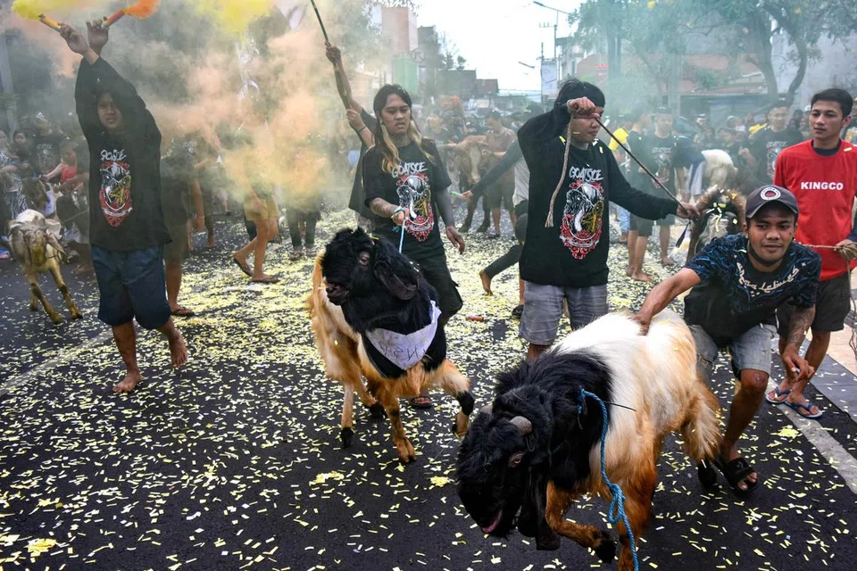 GEMBIRA SAMBUT AIDILADHA: Beberapa pemuda berarak dengan haiwan korban masing-masing dalam satu perayaan menyambut Aidiladha di Malang, Indonesia, pada Khamis.