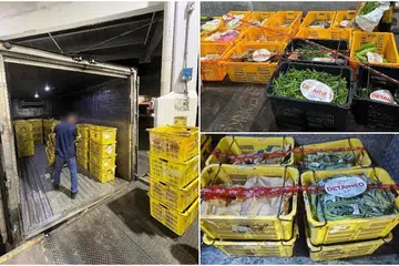 Hasil makanan yang cuba dibawa masuk secara haram ke Singapura ditemui dalam dua lori dalam operasi bersama ICA dan SFA.