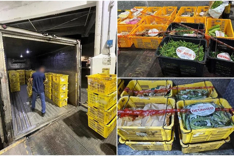 Hasil makanan yang cuba dibawa masuk secara haram ke Singapura ditemui dalam dua lori dalam operasi bersama ICA dan SFA.