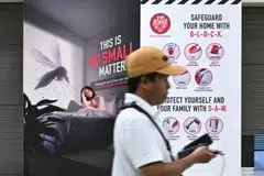 denggi, jumlah tertinggi, pembiakan, kelompok denggi aktif, NEA