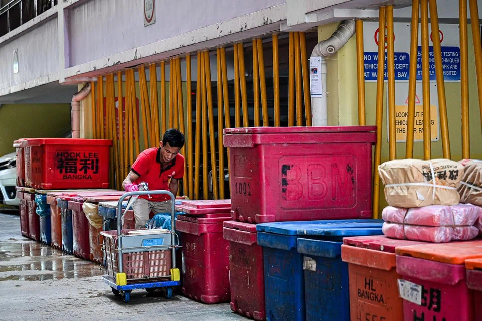 Penjual ikan sedang menyusun ikan yang hendak dijual, di tempat letak kereta Pasar Geylang Serai demi memastikan mutu terjamin.