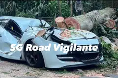 Kereta berwarna putih dihempap pokok di Chestnut Avenue pada 13 April.