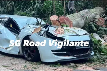 Kereta berwarna putih dihempap pokok di Chestnut Avenue pada 13 April.