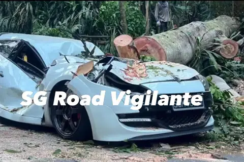 Kereta berwarna putih dihempap pokok di Chestnut Avenue pada 13 April.