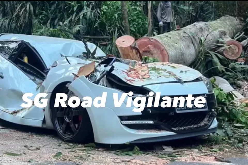 Kereta berwarna putih dihempap pokok di Chestnut Avenue pada 13 April.