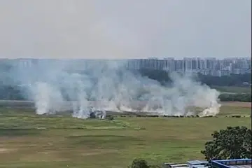 KEBAKARAN TUMBUHAN: SCDF memadamkan api dalam kebakaran tumbuhan di Pasir Ris Industrial Drive 1.