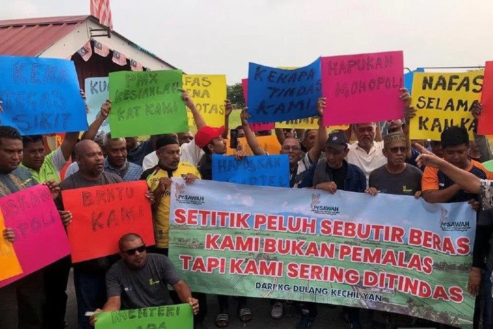 BANTAH HARGA RENDAH BERAS: Hampir 200 pesawah berkumpul di Kampung Lahar Budi, Alor Setar, bagi mengadakan bantahan aman mendesak kerajaan campur tangan agar harga belian padi musim ini dikekalkan pada harga RM1,700 satu tan. 