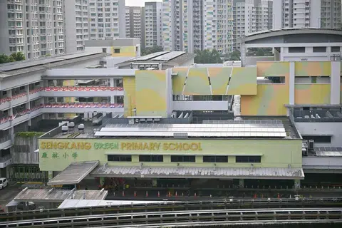 kes buli, Sekolah Rendah Sengkang Green, pelajar dirotan