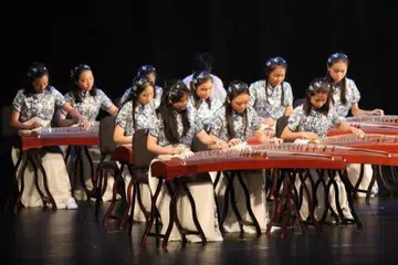 Sekolah Menengah Pei Hwa telah membangunkan sumbernya untuk menyokong pelajar yang berminat dengan guzheng. 