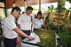 BUAT TINJAUAN:(dari kiri) Ketua Pegawai Eksekutif NParks, Encik Kenneth Er; Menteri Pembangunan Negara, Encik Lawrence Wong; dan Pengarah Pembangunan Kebun Bunga Singapura, Cik Ng Yuin-Mae, meninjau model tapak pembangunan kawasan tambahan Gallop dalam satu acara semalam. - Foto BH oleh CHONG JUN LIANG