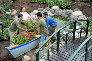 INSPIRASI DARI VINCENT VAN GOGH: Cik Marziah Omar (dua dari kiri) yang merancang landskap paparan bunga di Flower Dome berkata bahawa pameran Tulipmania adalah inspirasi daripada Vincent Van Gogh, seorang pelukis terkenal dari Belanda. Ia akan mempamerkan lebih 100 jenis tulip dan hyacinth dalam palet pelbagai warna. - Foto M.O. SALLEH