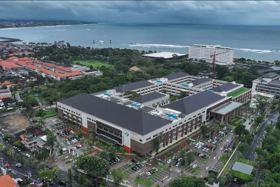ekonomi khas, pelancongan perubatan, Bali 