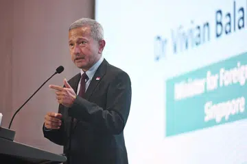 Menteri Ehwal Luar, Dr Vivian Balakrishnan, politik domestik, globalisasi, keselamatan negara