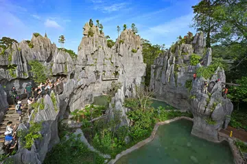 Rainforest Wild Asia yang terletak di kawasan Mandai akan dibuka kepada awam pada 12 Mac.