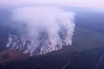 MASIH TERBAKAR: Gambar yang diambil dari udara menunjukkan kebakaran di Batu Panjang, Rupat, daerah Bengkalis. Pemerintah Indonesia kini berusaha menangani 11 kebakaran belukar di Sumatera dan Kalimantan. - Foto JAKARTA POST