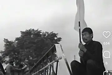 madu tiga