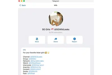 DISUNTING DAN DISALAH GUNA: Foto Cik Jordelia Tan dan rakan-rakannya berbaju ceongsam disunting menjadikan mereka memakai pakaian dalam dan diedar dalam kumpulan sembang Telegram yang dikenali sebagai SGWikiLeaks ini, yang menyebar foto dan video lucah wanita yang didakwa dari Asia. - Foto TANGKAP LAYAR SGWIKILEAKS