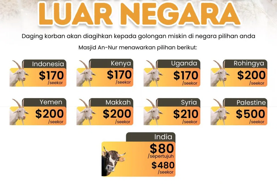 Masjid An-Nur juga menawarkan ibadah korban amal di luar negara. Orang ramai boleh membuat pilihan negara manakah yang menjadi pilihan mereka untuk menunaikan ibadah korban. Daging korban akan diagihkan kepada golongan miskin di negara pilihan, seperti Indonesia, ⁠Uganda, ⁠Palestin, ⁠Makkah (Arab Saudi), ⁠Yaman, Syria, ⁠Kenya dan ⁠Rohingya.