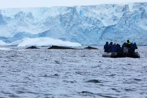 Pengembaran menaiki bot kembung bagi kegiatan ‘zodiac cruise’ untuk menikmati keajaiban Antartika.