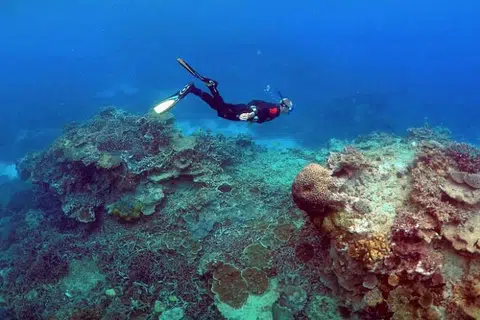 PELANCONG BIMBANG: Serangan ikan jerung di sekitar Kepulauan Whitsunday (gambar) telah meningkatkan kebimbangan pelancong yang mengunjungi pantai di sana. -Foto REUTERS. 
