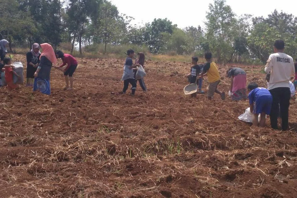 SEKOLAH TERPENCIL LESTARI ALAM: Sekolah Alam Wangsakerta di daerah perkampungan yang agak terpencil ini memberi pendidikan kepada anak-anak desa dan juga mereka yang tidak berpeluang ke sekolah lain kerana faktor kemiskinan dengan menyebar ilmu pertanian dan pelestarian alam. 