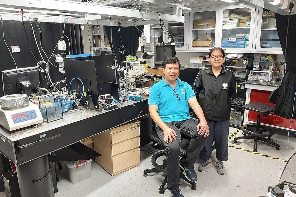 DIIKTIRAF ANUGERAH: Cik Hasanah Noor Azman, pemenang Anugerah Emas Pesta Sains dan Kejuruteraan Singapura 2020 bersama mentornya Profesor Sow Chorng Haur, ketua jabatan fizik di Fakulti Sains, Universiti Nasional Singapura (NUS). - Foto ihsan DR SOW CHORNG HAUR