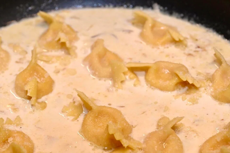 scarpinocc,  pasta, J65, Jen tanglin 