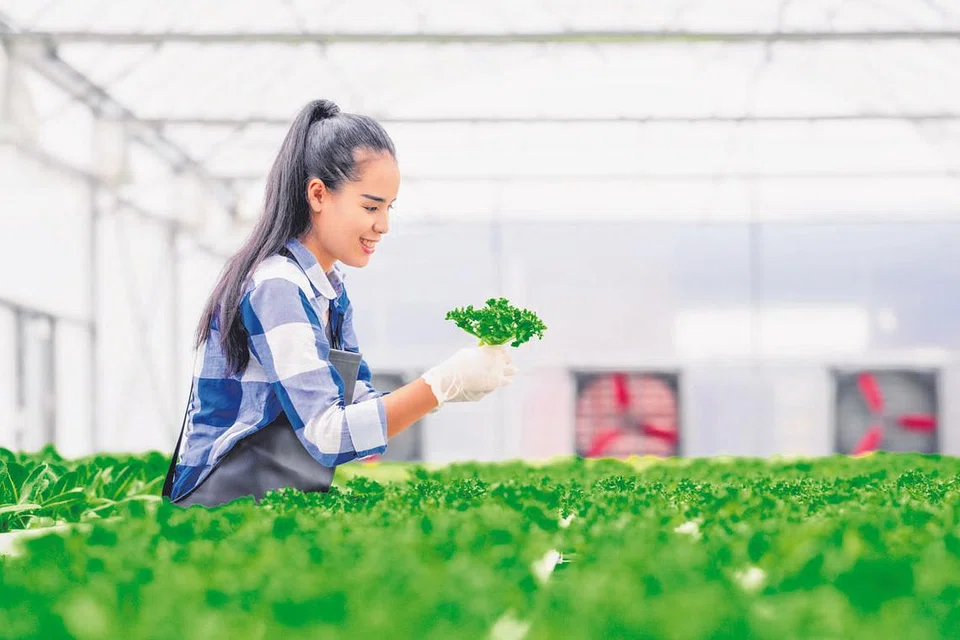 TUMPUAN PELABUR: Projek yang mempunyai matlamat melindungi alam sekitar, memastikan tabir urus baik serta dasar inklusif di tempat kerja kian menjadi tarikan pelabur. - Foto hiasan ISTOCKPHOTO