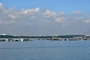 Ladang ikan di Selat Johor Timur pada 2021. Singapura pada November 2024 melancarkan rancangan untuk membaik pulih sektor akuakultur di tengah-tengah penurunan bilangan ternakan ikan berasaskan laut