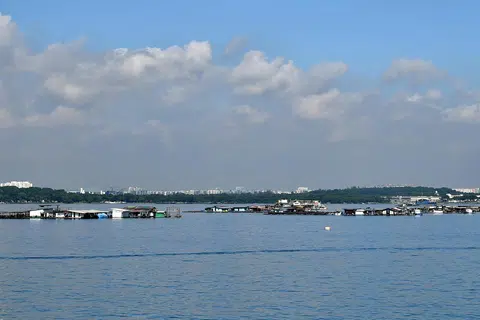 Ladang ikan di Selat Johor Timur pada 2021. Singapura pada November 2024 melancarkan rancangan untuk membaik pulih sektor akuakultur di tengah-tengah penurunan bilangan ternakan ikan berasaskan laut