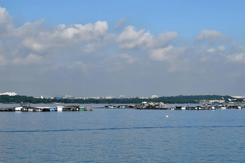 Ladang ikan di Selat Johor Timur pada 2021. Singapura pada November 2024 melancarkan rancangan untuk membaik pulih sektor akuakultur di tengah-tengah penurunan bilangan ternakan ikan berasaskan laut