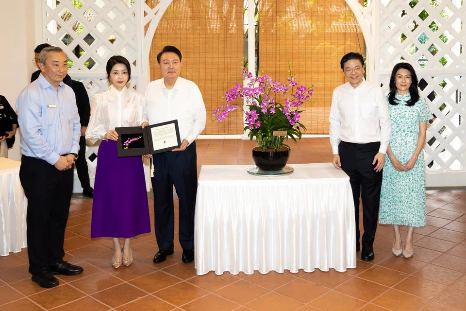 Anggerik bernama ‘Dendrobium Yoon Suk Yeol Kim Keon Hee’ telah dinamakan bagi menghormati Presiden Korea Selatan, Encik Yoon Suk Yeol (tiga dari kiri), dan isterinya, Cik Kim Keon Hee (dua dari kiri). Turut bersama mereka ialah Perdana Menteri, Encik Lawrence Wong (dua dari kanan), dan isterinya, Cik Loo Tze Lui (kanan).