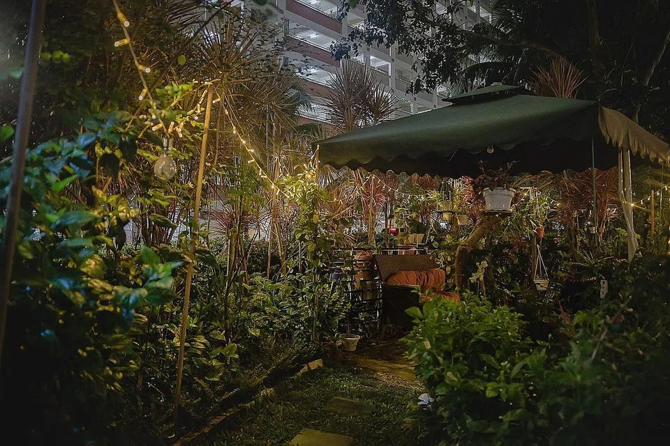 Taman kecil depan rumah mereka dilengkapi lampu lap-lip dengan pelbagai tanaman buah-buahan dan herba. - Foto-foto BH oleh HARITH MUSTAFFA