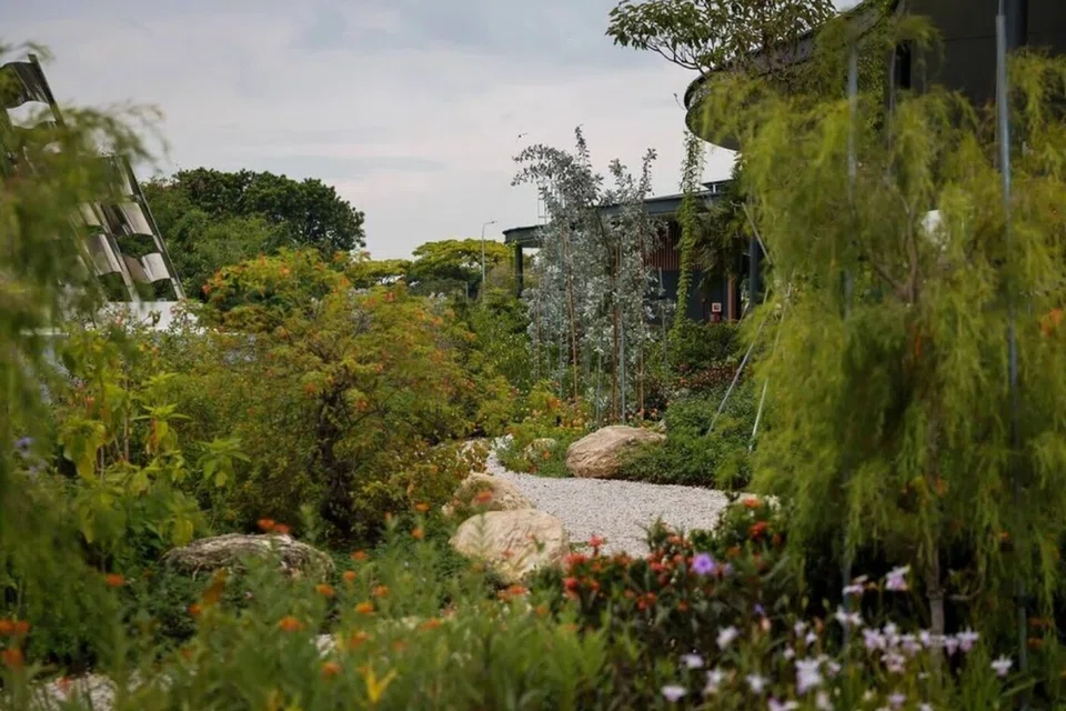 taman hujan, gardens by the bay, tumbuhan tahan banjir, usaha hijau 