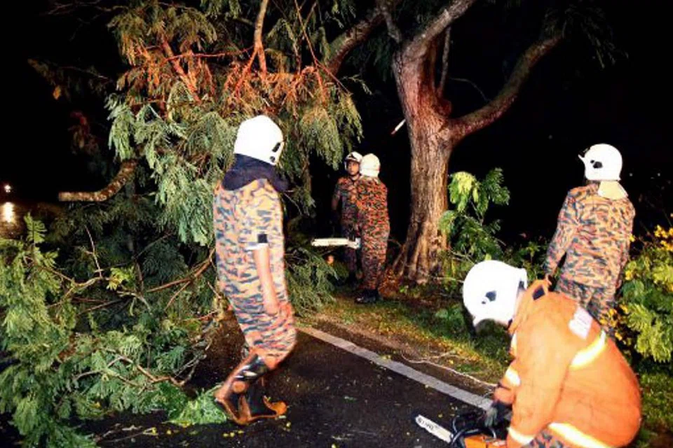ANGKARA RIBUT: Anggota bomba giat menjalankan operasi mengalihkan pokok yang tumbang sehingga menghalang lalu lintas di Jalan Arumugam Pillai, Tasek Gelugor, Seberang Perai Utara, Pulau Pinang, malam kelmarin. - Foto NSTP