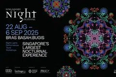 Singapore Night Festival, SNF, NHB, HeritageSG