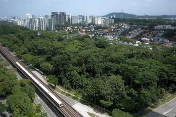 Kemerosotan keupayaan tanah Singapura menyerap lebih banyak karbon daripada yang dilepaskan bukanlah sesuatu yang tidak dijangka, kerana pembangunan untuk tujuan seperti perumahan, melibatkan penebangan pokok.