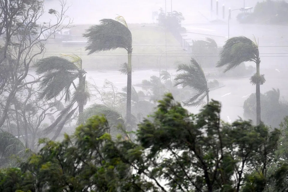 DISIFATKAN SEBAGAI BENCANA TERBURUK: Pokok di kawasan Pantai Airlie di bandar Townsville ditiup angin kencang akibat puting beliung Debbie. - Foto REUTERS