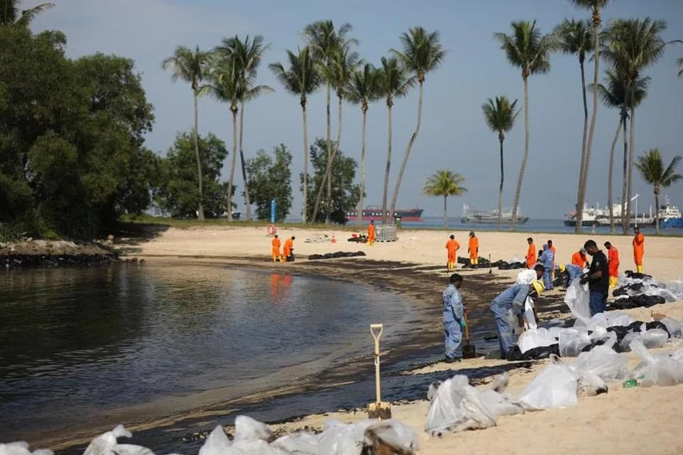 Para pekerja yang mengambil bahagian dalam pembersihan tumpahan minyak di pantai Tanjong di Sentosa pada 17 Jun.