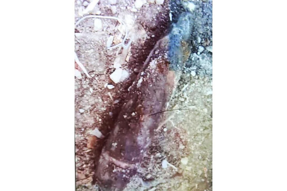 TEMUI OBJEK: Objek ini dipercayai bom Perang Dunia Kedua, menyebabkan polis mengepung kawasan binaan di Lorong 23 Geylang, semalam. - Foto BH oleh GAVIN FOO