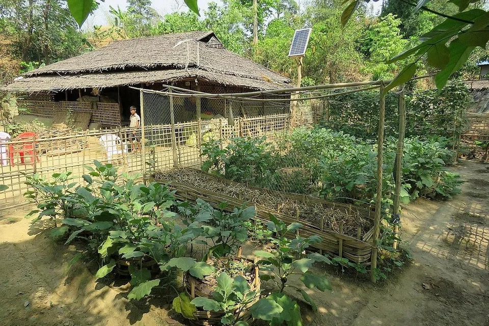 TANAMAN MAMPAN: Dana yang disalurkan RLAF kepada mangsa banjir di Myanmar disalurkan kepada mengusahakan Projek F.A.I.T.H, yang membantu mereka menanam sayur-sayuran sendiri seperti terung, timun, kentang dan tomato secara mampan, lantas memastikan bekalan makanan dan pemakanan mereka.