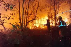 Petugas pemadam kebakaran berusaha memadamkan kebakaran tanah di Desa Sebong Pereh, Kecamatan Teluk Sebong, Kabupaten Bintan, Kepulauan Riau, pada Selasa, 24 Mac 2026. 