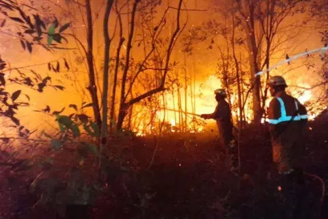 Petugas pemadam kebakaran berusaha memadamkan kebakaran tanah di Desa Sebong Pereh, Kecamatan Teluk Sebong, Kabupaten Bintan, Kepulauan Riau, pada Selasa, 24 Mac 2026. 