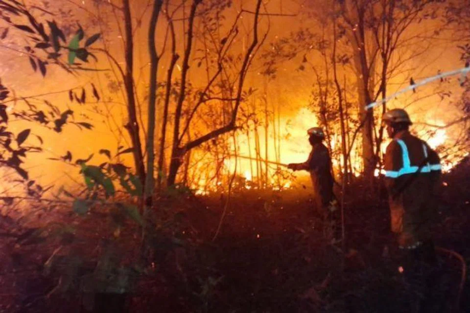 Petugas pemadam kebakaran berusaha memadamkan kebakaran tanah di Desa Sebong Pereh, Kecamatan Teluk Sebong, Kabupaten Bintan, Kepulauan Riau, pada Selasa, 24 Mac 2026. 