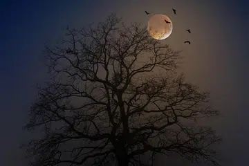 Kepercayaan bahawa bulan atau hari tertentu boleh membawa musibah merupakan satu bentuk syirik kecil, kerana ia memberi kuasa kepada sesuatu selain Allah dalam menentukan takdir.