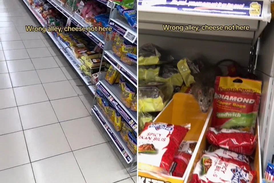 Seekor tikus kelihatan merayap di barisan terendah sebuah rak-rak makanan mengandungi roti di cawangan pasar raya FairPrice Pasir Ris West Plaza.