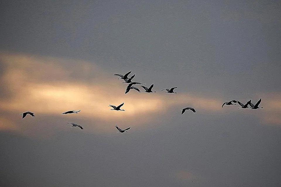 c4969002-089f-4654-9bcb-2631f28db7e5